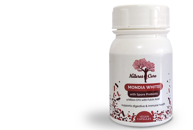 Mondia Whitei