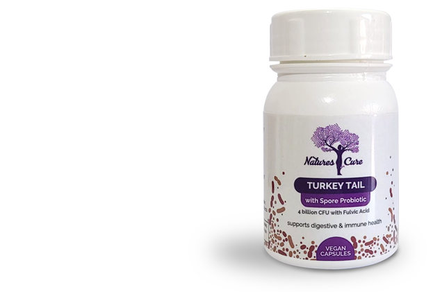 Natures Cure Turkey Tail Mushroom Capsules