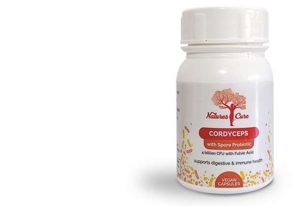 Cordyceps