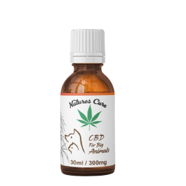 CBD Oil for Big Animals
