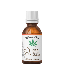 CBD Oil for Small Animals