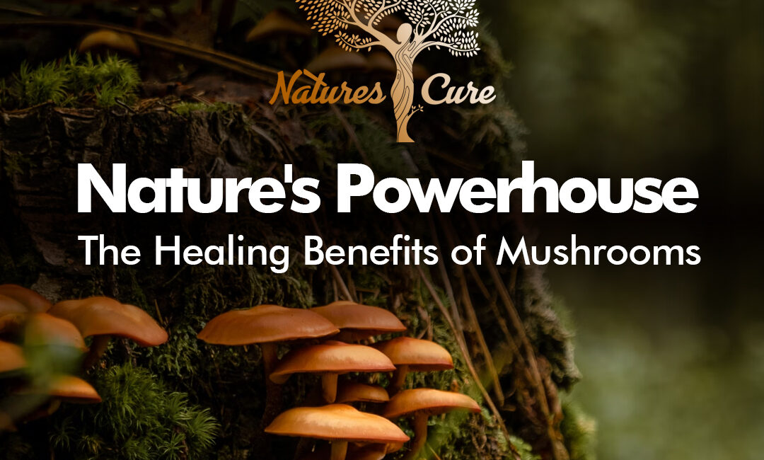 Natures Power House Natures Cure